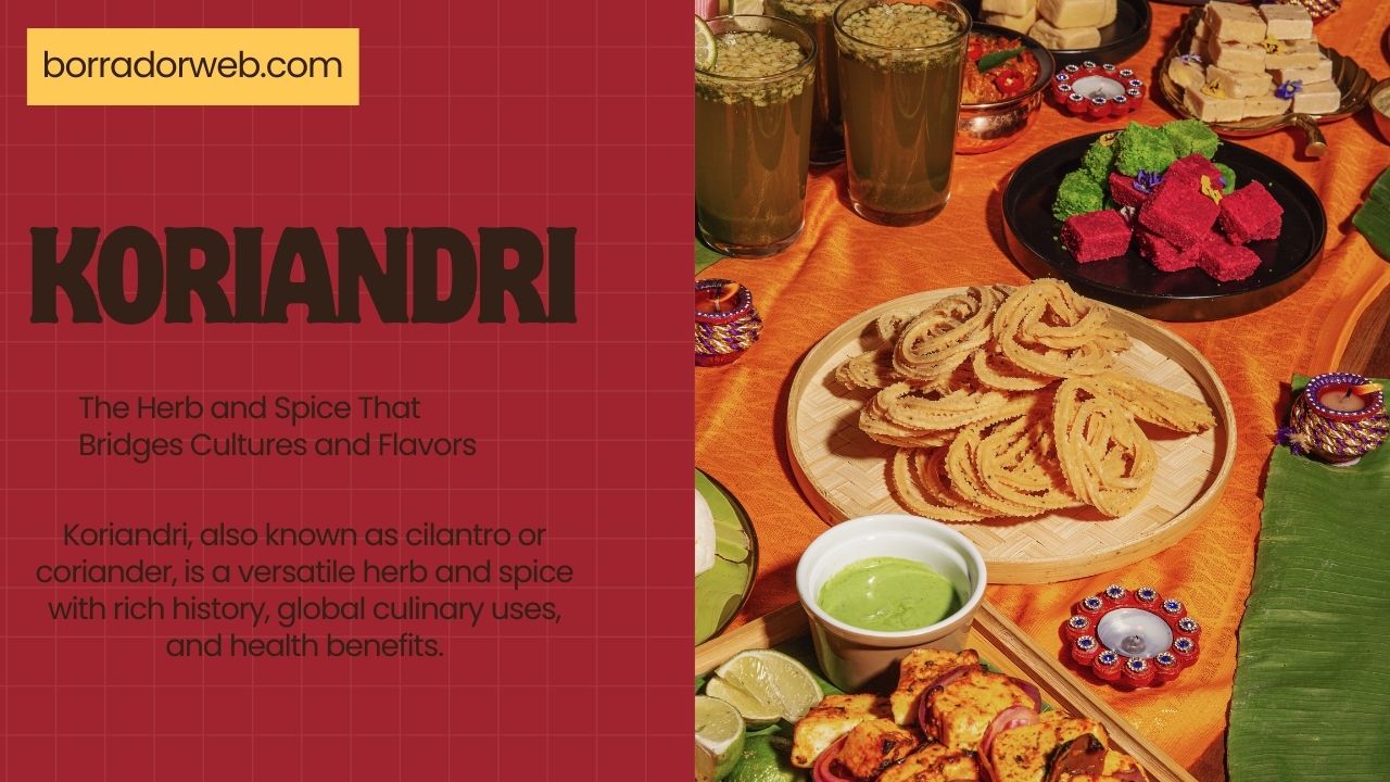 Koriandri: The Herb and Spice That Bridges Cultures and Flavors