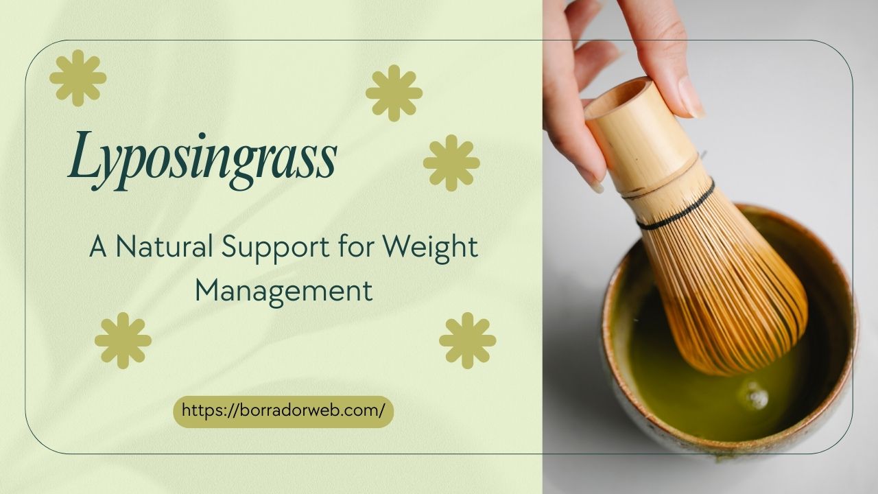 Lyposingrass: A Natural Support for Weight Management