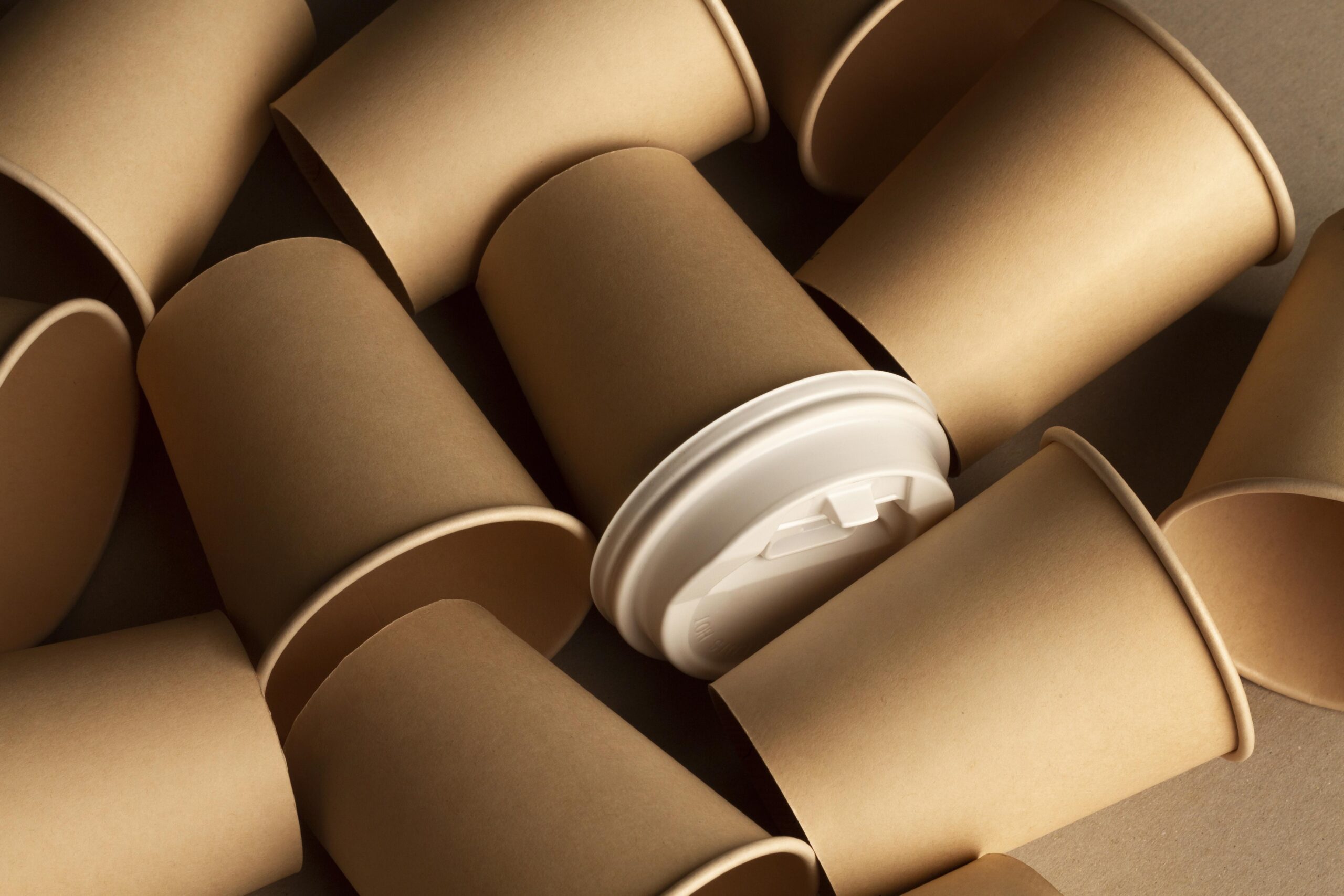 Pappedeckel – The Sustainable Cardboard Lid for Modern Packaging