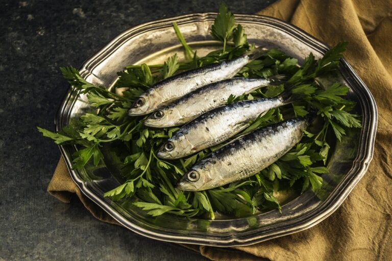 Calamariere: The Untold Story of a Mediterranean Seafood Tradition